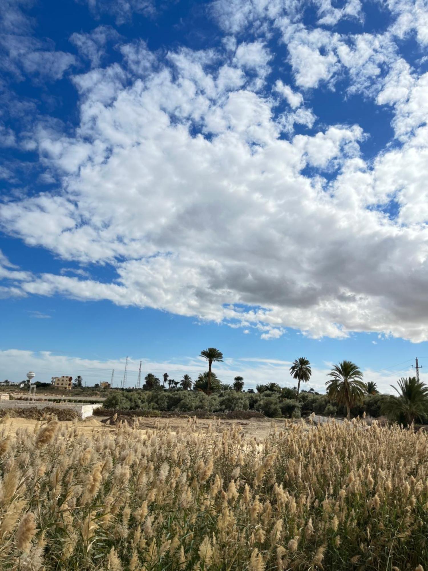 Lake House By Tunisia Green Resort Qaryat at Ta'mir as Siyahiyah Exteriér fotografie